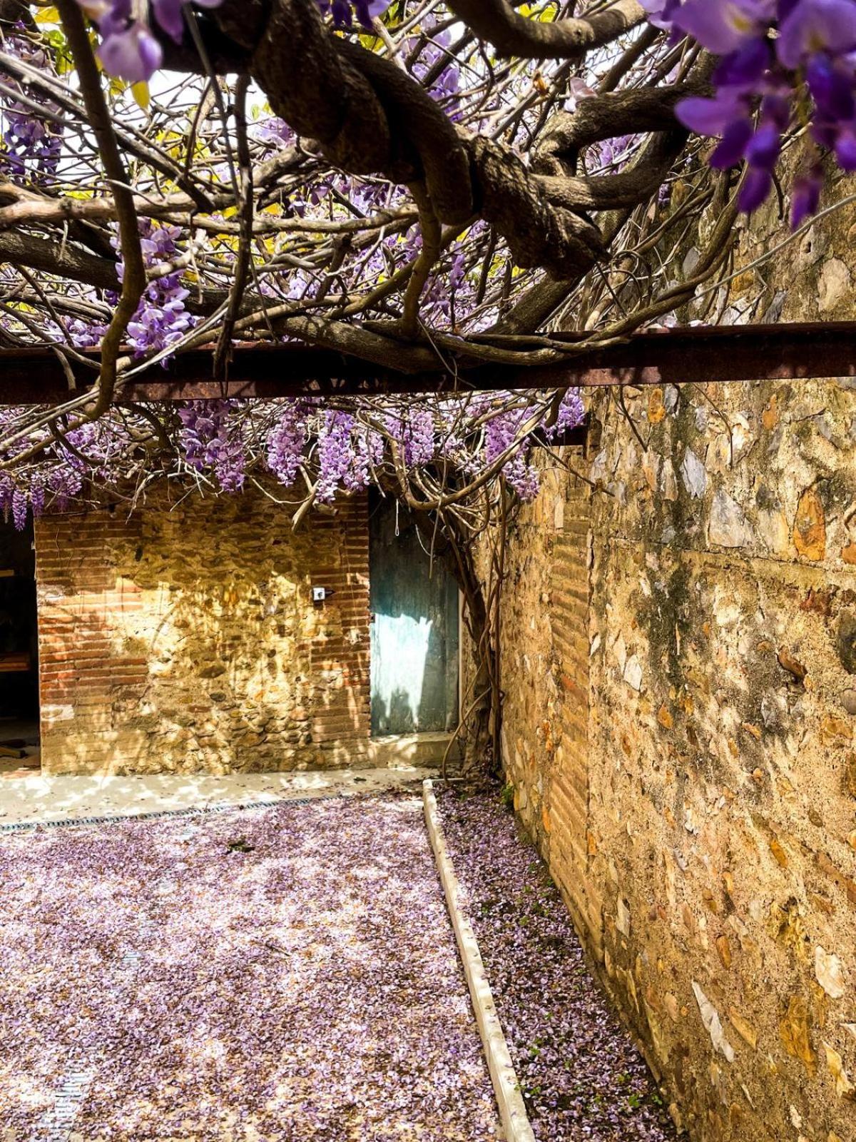 Gite De Charme Du Domaine Pagnon Guillemette Torreilles Exterior photo